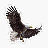 Araba için Kartal Oto Sticker Yapıştırması Etiket  17CM q1
