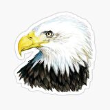 Araba için Kartal Oto Sticker Yapıştırması Etiket  17CM z5