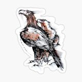 Araba için Kartal Oto Sticker Yapıştırması Etiket  17CM z9