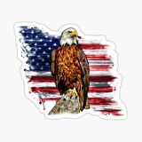 Araba için Kartal Sticker Yapıştırması Etiket Amerikan Bayrağı 17CM