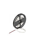 Cata CT-4481 Şerit LED 10 Çipli Günışığı 3200K İç Mekan 12V ( 10 Metre )