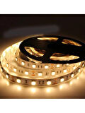 Noas YL40-4002 5 Metre 12V Iç Mekan Şerit LED (Günışığı)