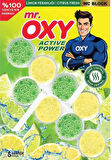 Mr. Oxy Klozet Wc Blok Limon Ferahlığı + Buz Denizi 2*50GR x 2 Adet