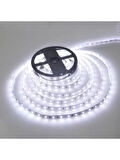 Noas 4040 Şerit LED 15 Metre 6500K Beyaz ( YL40-4001 ) + Noas 21 Amper 250 Watt Süper Slim LED Trafo