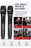 Jrl Wn-19 İkili Kablosuz Mikrofon Seti El Tipi Çiftli Mikrofon, Karaoke, Konferans ve Sahne