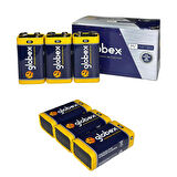 Globex GX-0109 9V Pil 10'lu Paket 