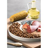 Micho Adult Cat Tavuklu (Hamsi ve Pirinç eşliğinde) Yetişkin Kedi Maması 3 Kg x 2 Paket