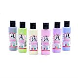 SÜDOR CHALKY AKRİLİK SET 6 RENK 70 ML