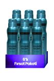 Free Love Golden Pudrasız Kadın Sprey Deodorant 150 ml x 6