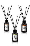 Prova Bambu Çubuklu Oda Kokusu Amber Dark, Amber ve Vanilya Ferahlığı Coco Sun x3 100 ml