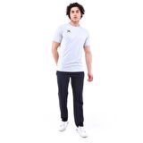 Raru Teamswear Erkek Basic T-Shirt SIRCA GRİ