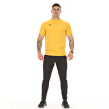 Raru Erkek T-Shirt VULCAN SARI