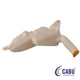 Opel On Cam Silecek Su Deposu Cift Delik Astra G (kapaklı) - Cabu 220102