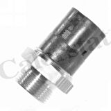 Renault Fan Musuru (92 / 82°) R21 Master I Safrane - Vernet Ts1436