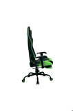 Adore Gaming Combo Profesyonel Oyuncu ve Çalışma Koltuğu-Siyah-Yeşil 71x130-139,5x58 cm (GxYxD)