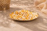 MISIR POPCORN