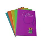 Gıpta Mıca A4 60 Yp Çizgili Pp Kap.Defter 1704