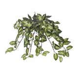 Euro Flora Yapay Sarmaşık Sygonıum Demet 42 Cm