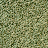Hasata Yozgat Sultani Yeşil Mercimek 1 Kg