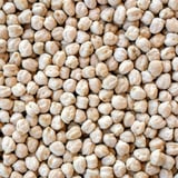Hasata Beyaz Nohut 1000 gr(12*