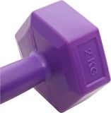 Avessa 2 Kg Dambıl Set 2 Adet Toplam 4 Kg, Karma