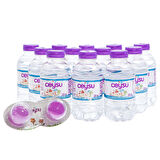 Ceysu Doğal Kaynak Suyu 12x200 ml