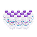 Ceysu Doğal Kaynak Suyu 12x200 ml