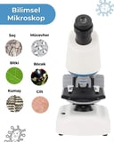 Temel Beyaz STEM Mikroskop Seti 100x 400x 1200x Plastik Gövdeli Bilim Kiti