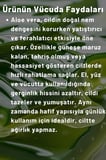 Naturix Aloe Vera Özlü El, Yüz Ve Vücut Bakım Kremi 250 ml | Nemlendirici Ve Onarıcı Vücut Losyonu
