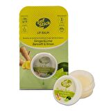 ŞEF STİCK LİP KAVANOZ ZENCEFİL LİMON 10 ML