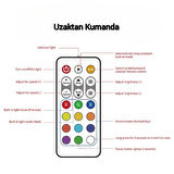 SNT ARGBCTR-01B ARGB Denetleyici Controller Uzaktan Kumandalı  Siyah
