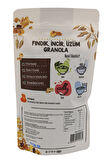Gurme Incir Üzüm Fındık Granola 200 gr