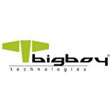Bigboy BSSD2242N512G M2 512 GB M.2 1800 MB/s 2500 MB/s SSD 