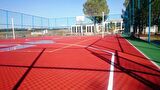 Adelinspor Silver Voleybol Direk ve File Seti 