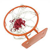Adelinspor Hoby Mini Kancalı 25 cm Duvara Monte Basketbol Çemberi