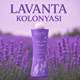 LAVANTA KOLONYASI 240 ML
