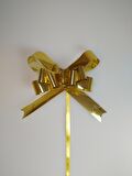 ÇEKMELİ FİYONK 19MM METALİK GOLD (1 ADET)