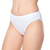 Tutku 12 'li Kaşkorse Bayan Bikini Külot Kombin 0510