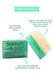 Doğal Kabak Lifli Okaliptus Yağlı Sabun Nemlendirici Peeling Etkili Arındırıcı Okaliptus Soap 130 Gr