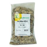 Doğal Zulumba Zalumba Kökü 1000 Gr Paket