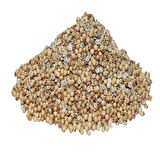 Doğal Tane Kişniş 1000 Gr Paket