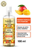 DERMO CLEAN DOĞAL MEYVE ÖZLÜ MANGO KOKULU OTO PARFÜM 100 ML