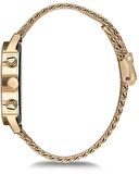 Momentus CC239G-07SG