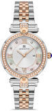 Momentus SS249T-02SR