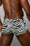 Doreanse Erkek Modal Zebra Çizgili Mini Paça Boxer 1795