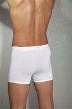 Doreanse Rahat Erkek Boxer 1755