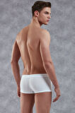 Doreanse Erkek Modal Torbalı Kısa Paça Boxer 1760