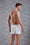 DOREANSE 1511P ERKEK PAMUKLU DÜĞMELİ NORMAL PAÇA BOXER