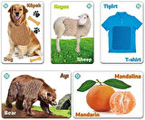 Toys Dokun Hisset Tanı Eğitim Kartları, Zeka Kartları - Touch And Feel