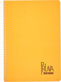 Pruva A4 Pet Spiralli Karton Kapaklı Defter 144 Yaprak - Çizgili - Turuncu